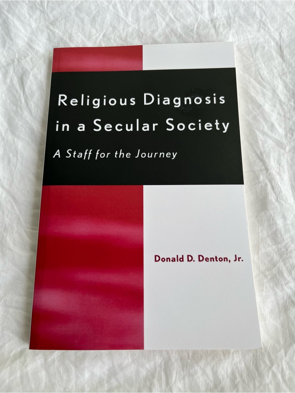 Religious Diagnosis in a Secular Society : A Staff for the Journey by Donald D.